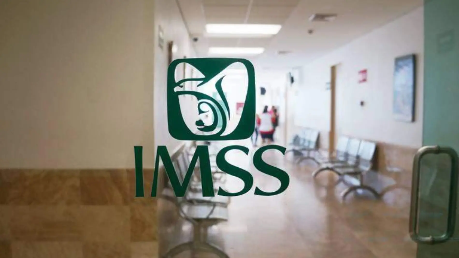 EG 03 IMSS